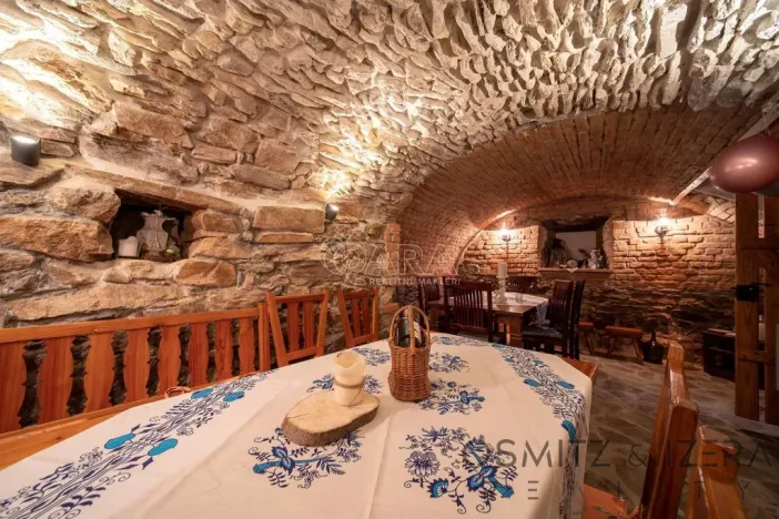 Prodej ubytování, Vikýřovice, Petrovská, 1063 m2