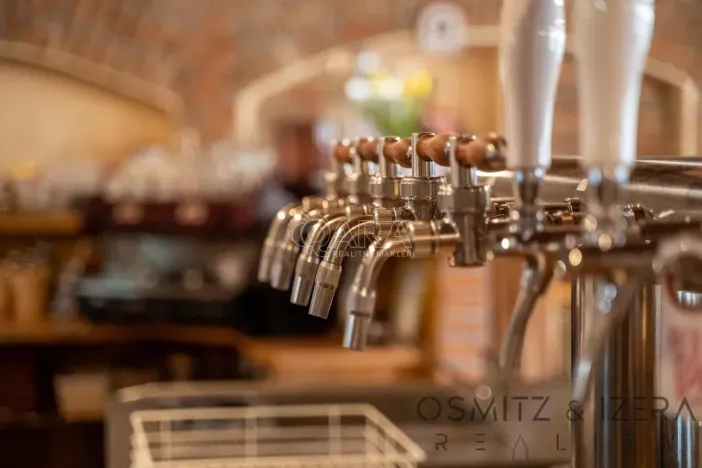 Prodej ubytování, Vikýřovice, Petrovská, 1063 m2