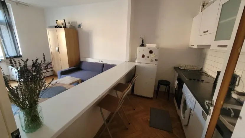 Pronájem bytu 1+kk, Praha - Nusle, Táborská, 40 m2