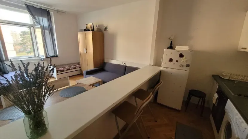 Pronájem bytu 1+kk, Praha - Nusle, Táborská, 40 m2