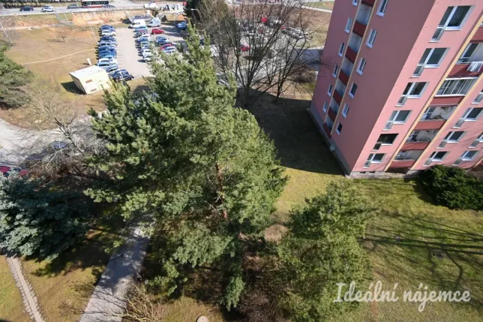 Pronájem bytu 3+1, Brno, Kuršova, 74 m2