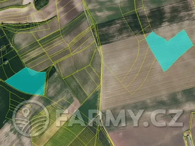 Prodej pole, Čejkovice, 194311 m2