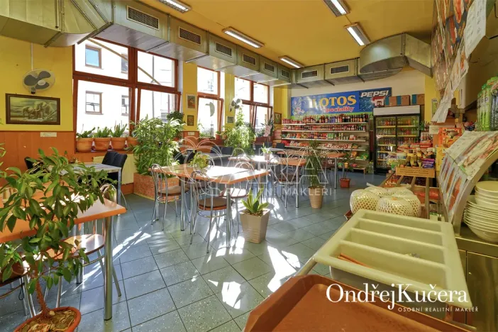 Prodej činžovního domu, Kladno, Osvoboz. pol. vězňů, 1000 m2