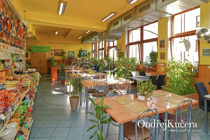 Prodej činžovního domu, Kladno, Osvoboz. pol. vězňů, 1000 m2