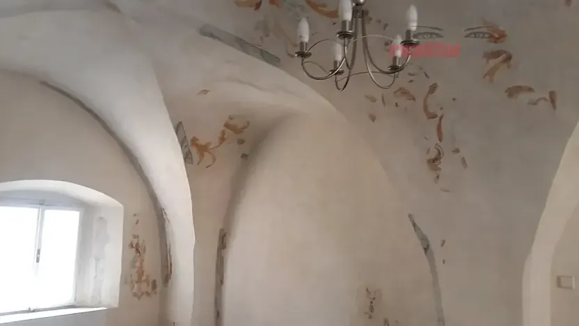 Prodej domu, Jihlava, Palackého, 490 m2