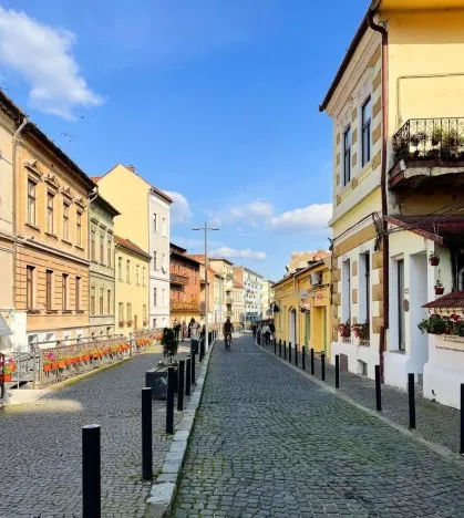 Prodej činžovního domu, Litomyšl - Litomyšl-Město, 2600 m2