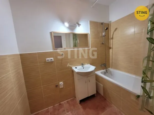 Pronájem bytu 1+1, Ostrava, Zeyerova, 31 m2