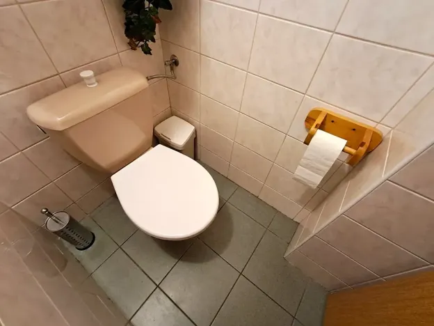 Prodej chalupy, Vysoké Veselí, 290 m2