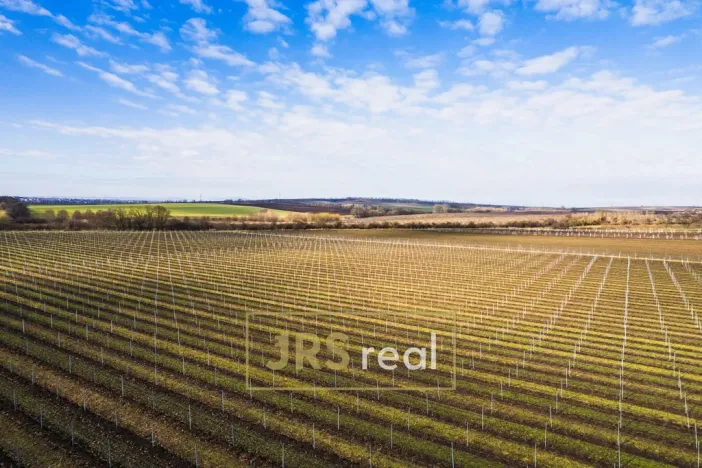 Prodej ubytování, Prušánky, Nechory, 145 m2