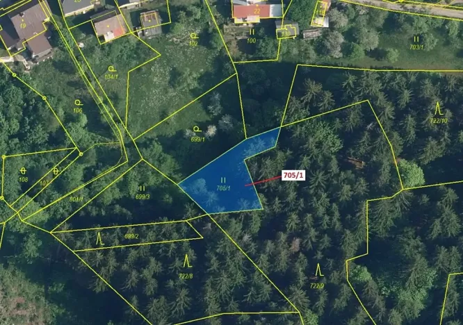 Dražba louky, Zlatá Olešnice, 438 m2