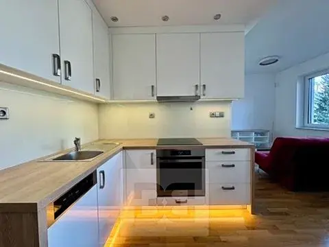 Pronájem bytu 1+kk, Brno, Milady Horákové, 44 m2