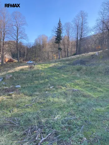 Prodej pozemku, Bílý Potok, 6645 m2