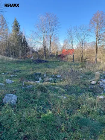 Prodej pozemku, Bílý Potok, 6645 m2