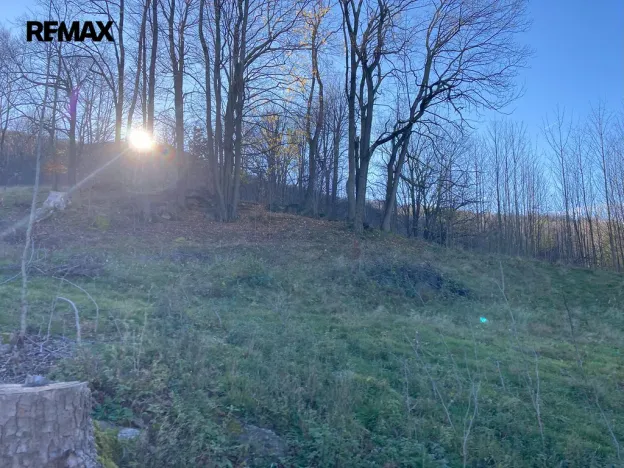 Prodej pozemku, Bílý Potok, 6645 m2