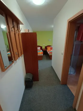 Prodej ubytování, Ostrov, Jáchymovská, 350 m2