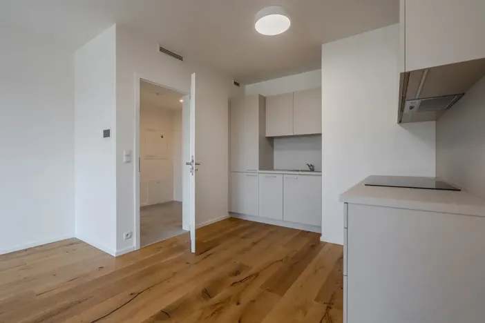 Pronájem bytu 2+kk, Praha - Strašnice, Ramonova, 59 m2