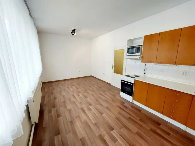 Pronájem bytu 1+kk, Brno, Renneská třída, 30 m2