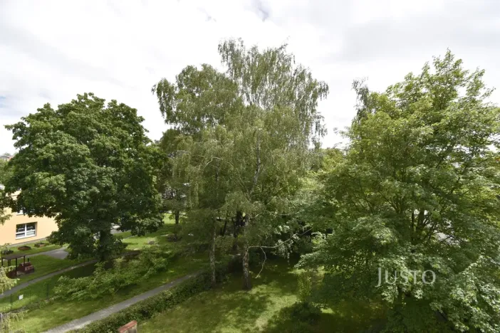 Pronájem bytu 1+kk, Ostrava - Hrabůvka, Krakovská, 22 m2