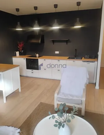 Pronájem bytu 2+kk, Praha, Mánesova, 54 m2