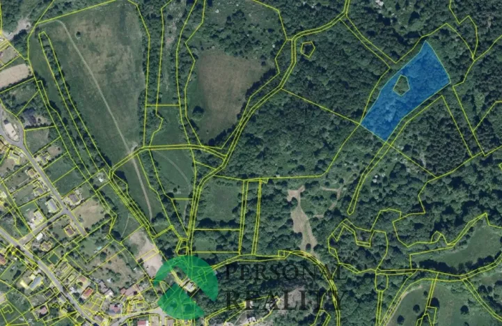 Prodej louky, Andělská Hora, 9593 m2