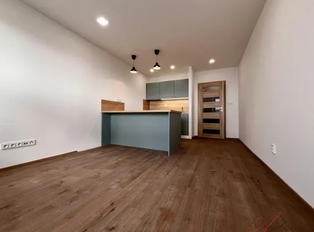 Pronájem bytu 1+kk, Ostrava - Moravská Ostrava, Lechowiczova, 27 m2