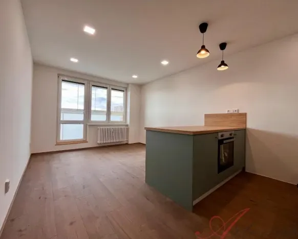 Pronájem bytu 1+kk, Ostrava - Moravská Ostrava, Lechowiczova, 27 m2