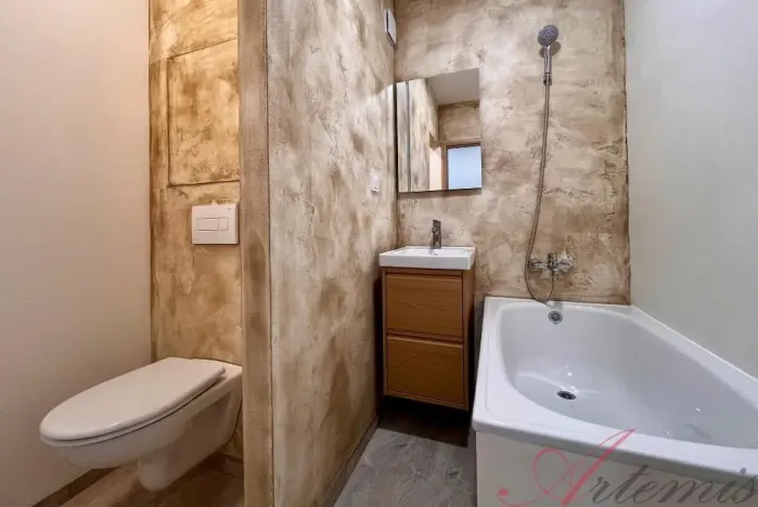 Pronájem bytu 1+kk, Ostrava - Moravská Ostrava, Lechowiczova, 27 m2