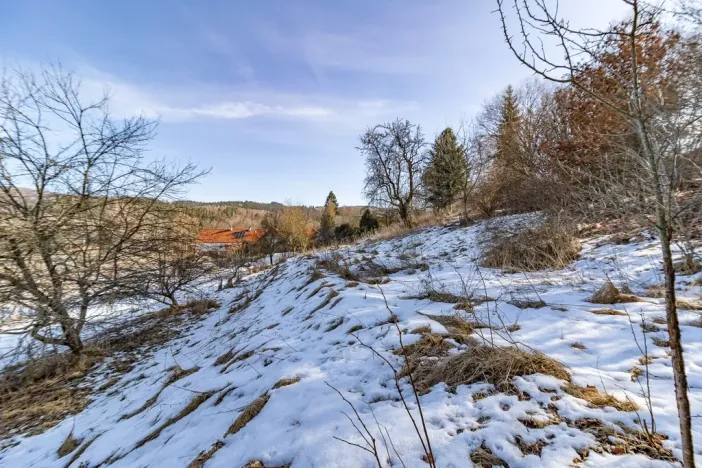 Prodej pozemku pro bydlení, Kašperské Hory - Dolní Dvorce, 3517 m2
