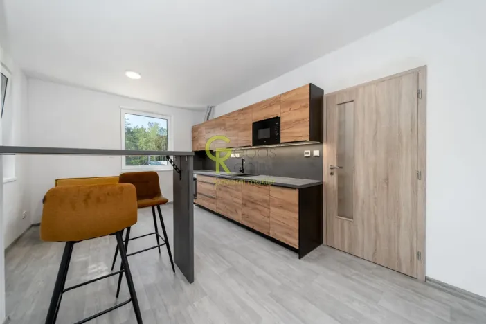 Prodej bytu 2+kk, Skorkov - Otradovice, 57 m2