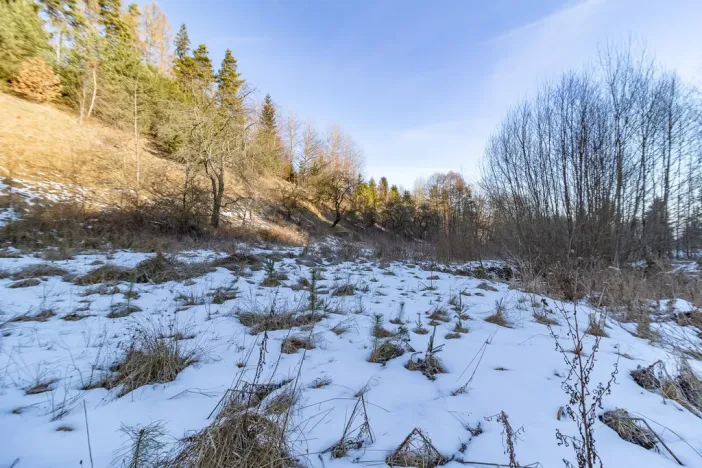 Prodej pozemku pro bydlení, Žihobce - Šimanov, 15955 m2