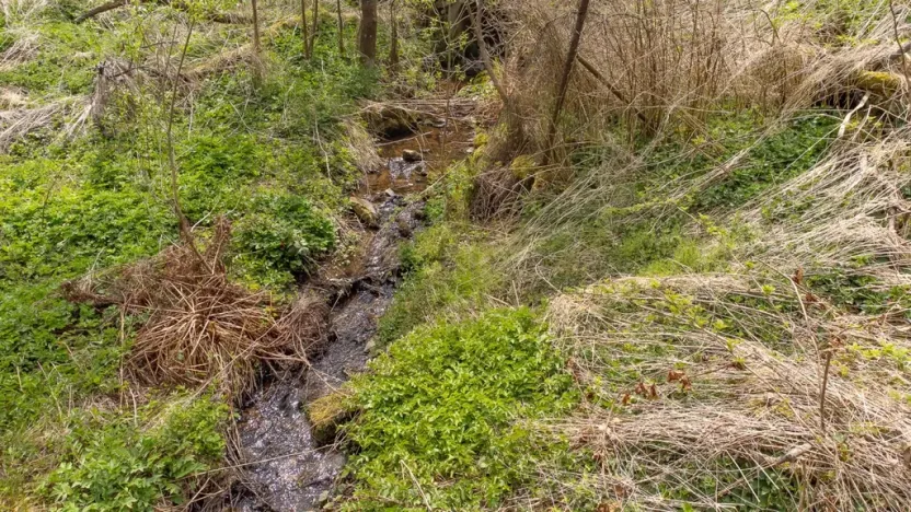 Prodej pozemku pro bydlení, Žihobce - Šimanov, 15955 m2