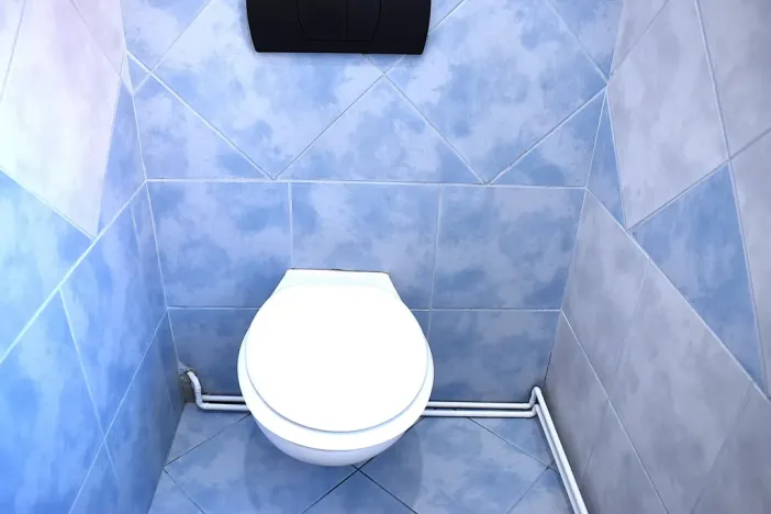 Prodej bytu 2+1, Plzeň - Lobzy, Masarykova, 88 m2