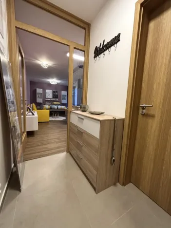 Pronájem bytu 1+kk, Plzeň - Východní Předměstí, Pallova, 37 m2