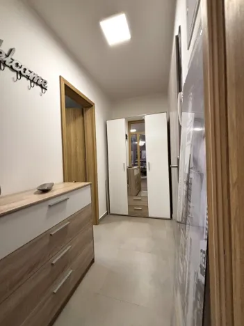 Pronájem bytu 1+kk, Plzeň - Východní Předměstí, Pallova, 37 m2