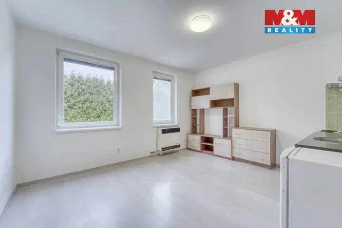 Pronájem bytu 1+kk, Štěnovice, Čižická, 28 m2