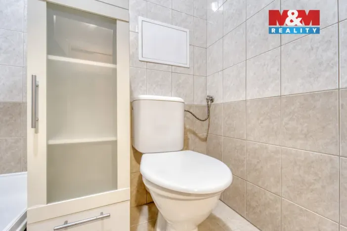 Pronájem bytu 1+kk, Štěnovice, Čižická, 28 m2