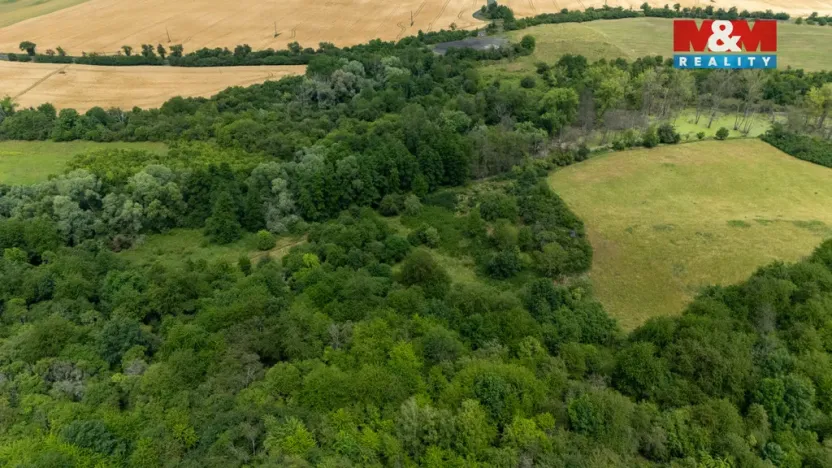 Prodej louky, Chabařovice - Roudníky, 46243 m2