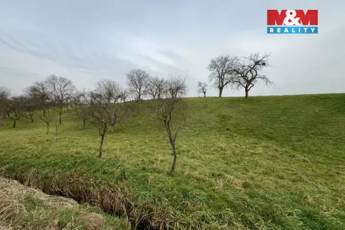 Prodej zahrady, Bezuchov, 901 m2