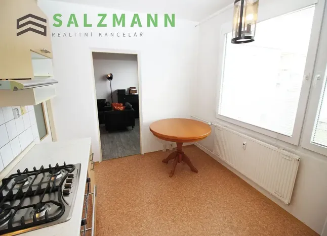 Pronájem bytu 2+1, Plzeň, Bzenecká, 61 m2