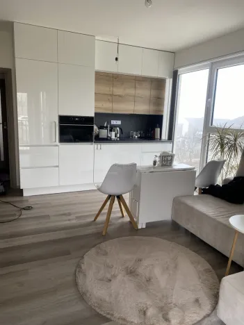 Pronájem bytu 3+kk, Nová Ves pod Pleší, Řadová, 66 m2