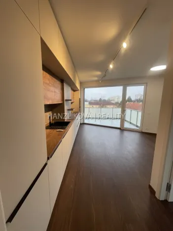 Pronájem bytu 3+kk, České Budějovice, Hálkova, 50 m2