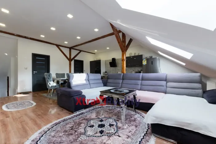 Prodej rodinného domu, Teplice - Trnovany, Skupova, 220 m2