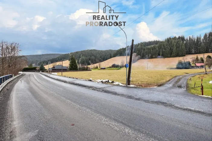 Prodej pozemku pro bydlení, Velké Karlovice, 45173 m2