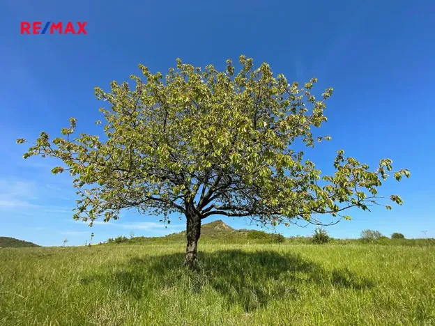 Prodej komerčního pozemku, Podsedice, 4847 m2