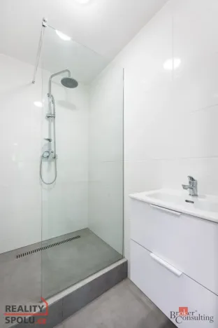 Pronájem bytu 1+1, Frýdek-Místek - Frýdek, Křižíkova, 45 m2