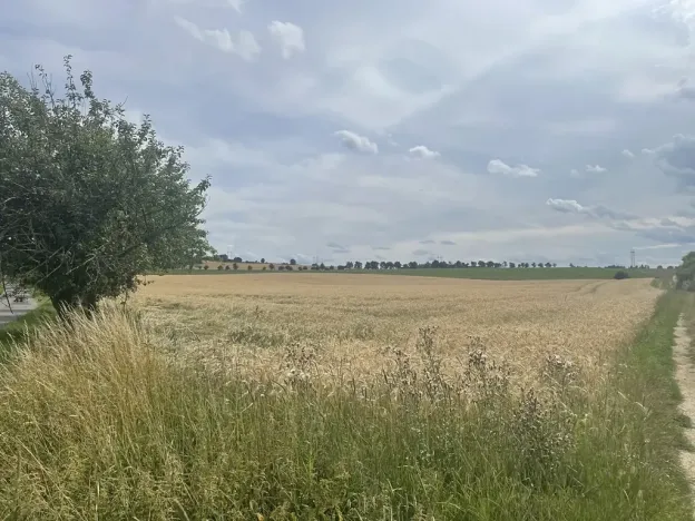 Prodej pole, Krásněves, 12 m2