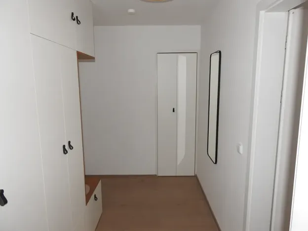 Pronájem bytu 1+kk, Praha - Žižkov, Buchovcova, 48 m2