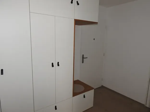 Pronájem bytu 1+kk, Praha - Žižkov, Buchovcova, 48 m2