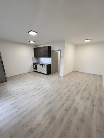 Pronájem bytu 1+kk, Olomouc, Wolkerova, 43 m2