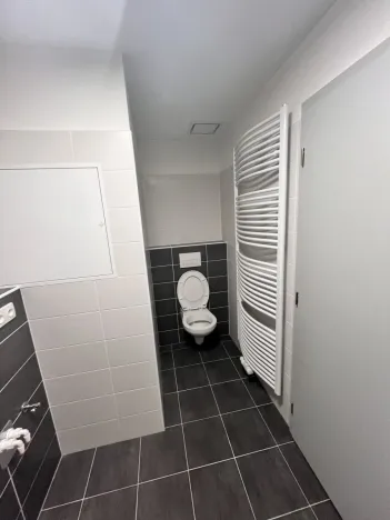 Pronájem bytu 1+kk, Olomouc, Wolkerova, 43 m2